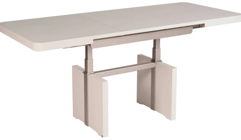 2273 Couchtisch & Esstisch Kombination Couchtische