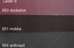 Best Dietsch Motion TV Sessel mit Relaxfunktion Leder und mehr Sessel