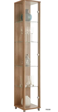 Glasvitrine schmal in 7 Farben Vitrinen|Glasvitrinen
