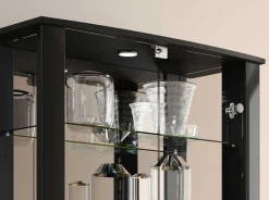 Verschließbare Vitrine Vitrinen|Glasvitrinen